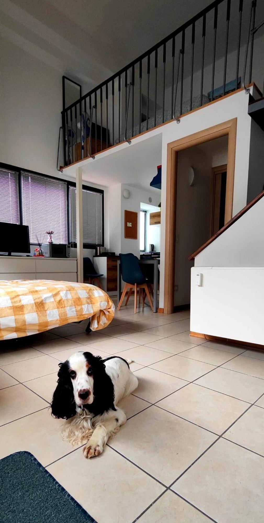 Gemme Fiorentine Apartments In Front Of The Train Station 5 Minutes From The Centre Free Parking Florens Exteriör bild